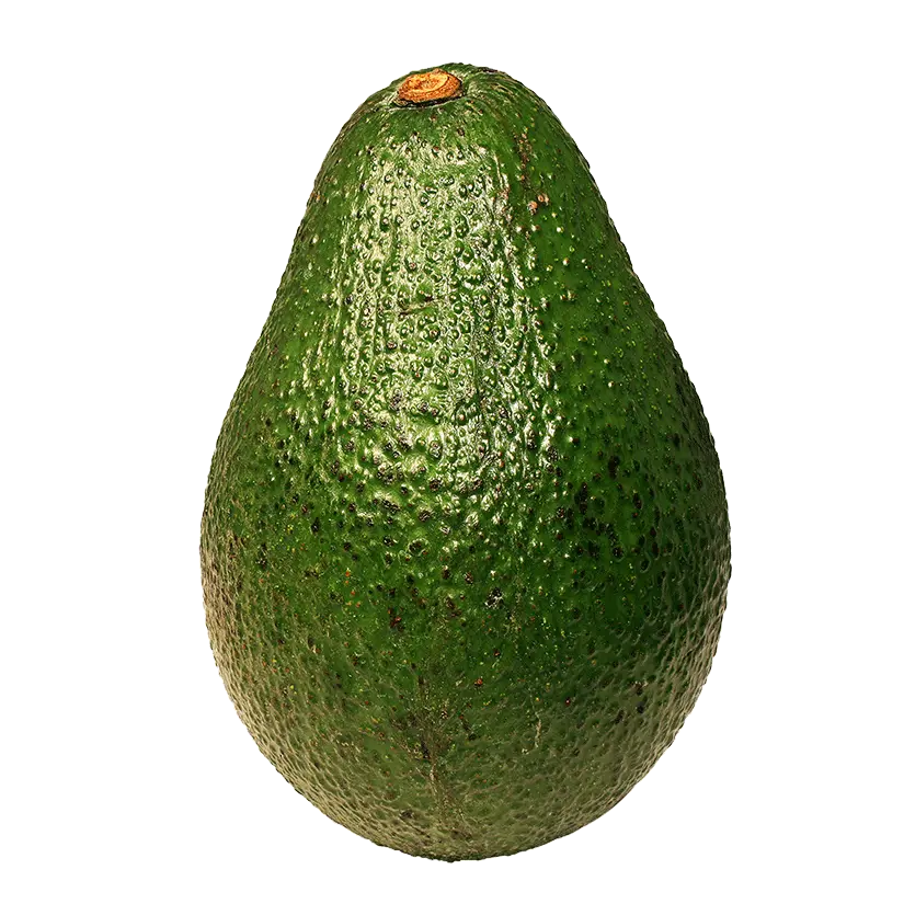 Aguacate