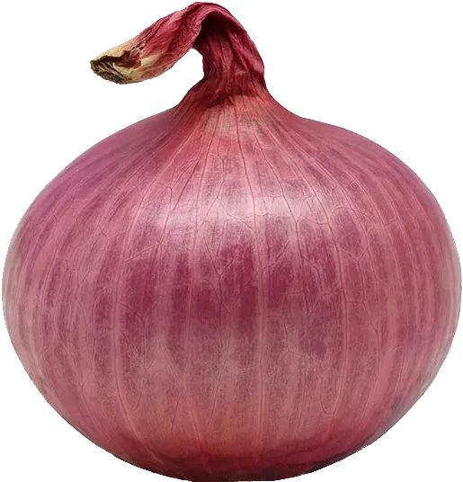 Cebolla