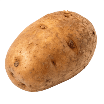 Patata