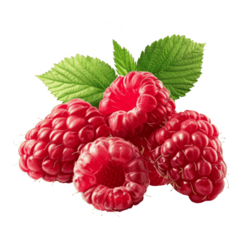 Frambuesa