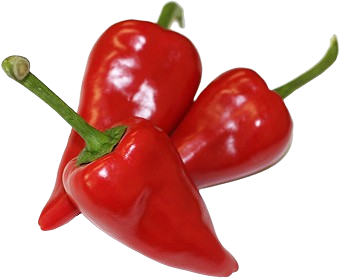 Pimiento del piquillo