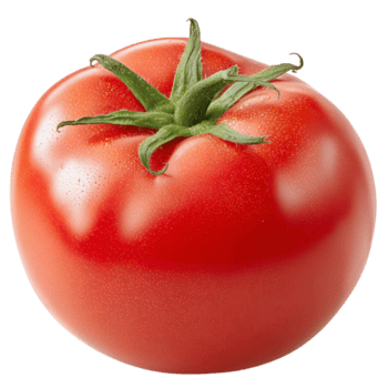 Tomate